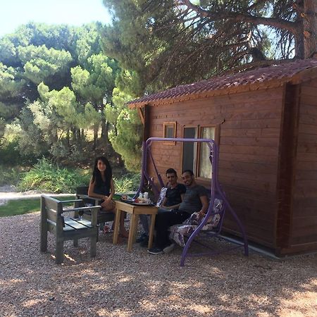 Morkoyun Bungalov Kamp Mordogan Eksteriør billede