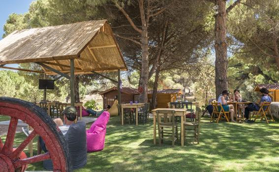 Morkoyun Bungalov Kamp Mordogan Eksteriør billede